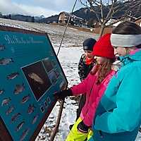 Wintersportwoche der 2. Klassen_4
