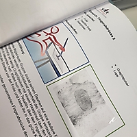 Wissenschaftswerkstatt in der 3c